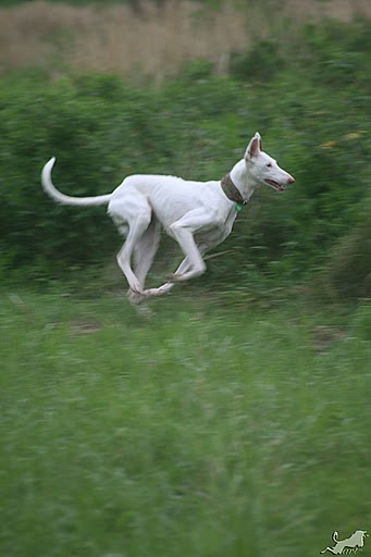IMG_4014 Kopie.jpg