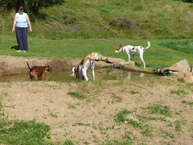 P1070602 [640x480].jpg