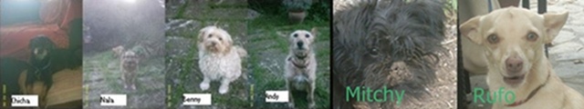 neue Rufo Freunde22.jpg