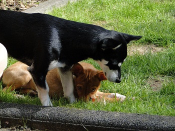 DSC04804.JPG