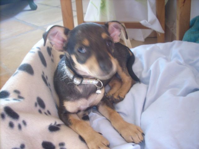 Ylvie im kleinen Bett.jpg