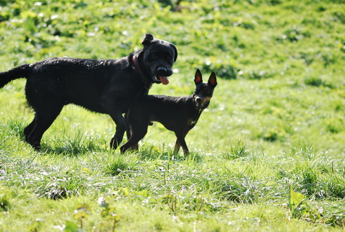 DSC_0541.jpg
