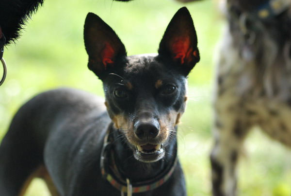 DSC_0543.jpg