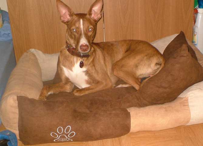 K640_DSCF0331.JPG