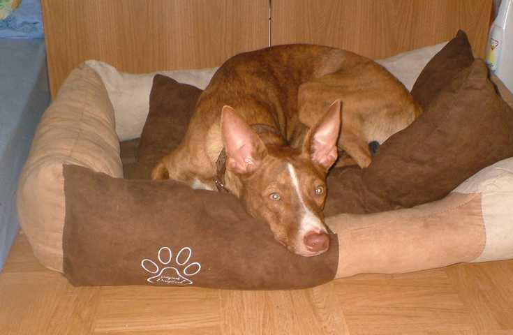 K640_DSCF0334.JPG