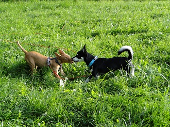 DSC05098.JPG