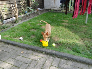 DSC05286.JPG