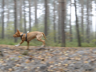 DSC05319.JPG