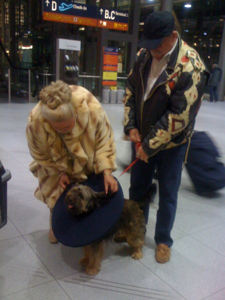 28102010011.jpg