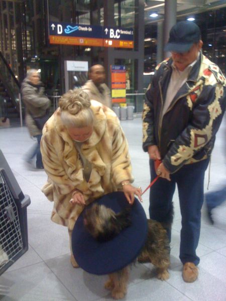 28102010012.jpg
