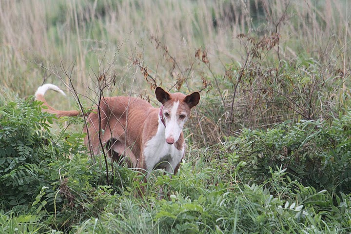 IMG_8743.JPG