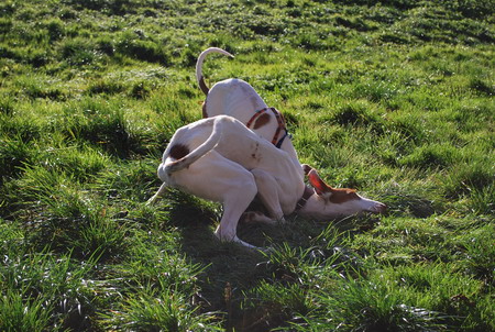 DSC_0628.jpg