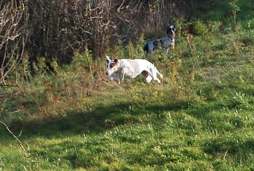 DSC_0637.jpg
