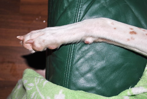 DSC_0607.jpg