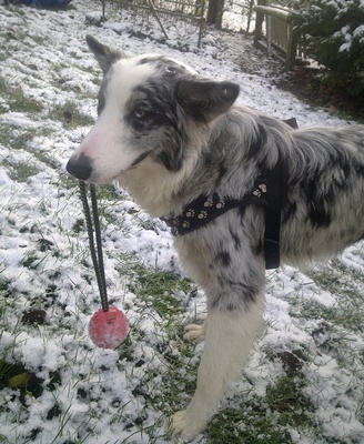 Schnee2.jpg