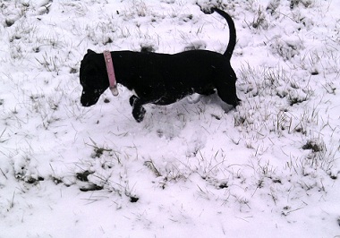 Minna im Schnee3.jpg