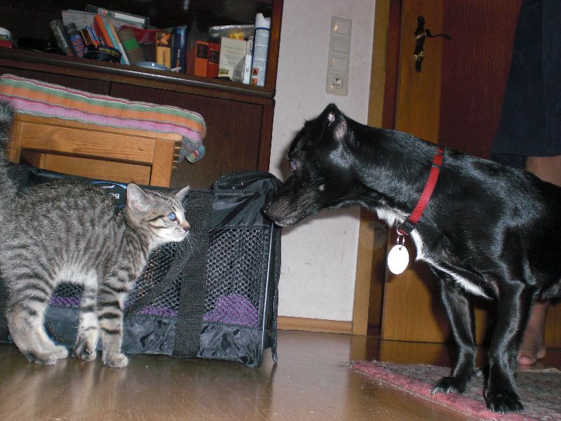 image001.jpg