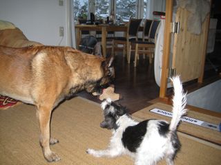 IMG_7875.jpg