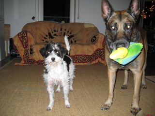 IMG_7861.jpg