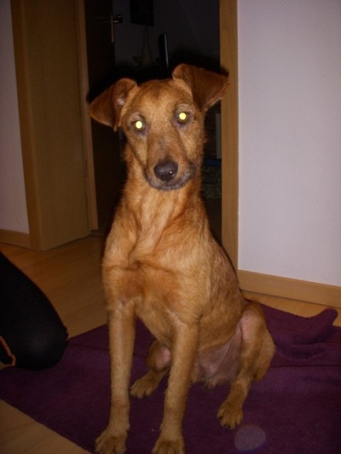 DSCN1875.JPG