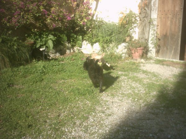 IMG_0004_1.jpg