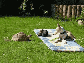 Smilla-und-Olle.gif