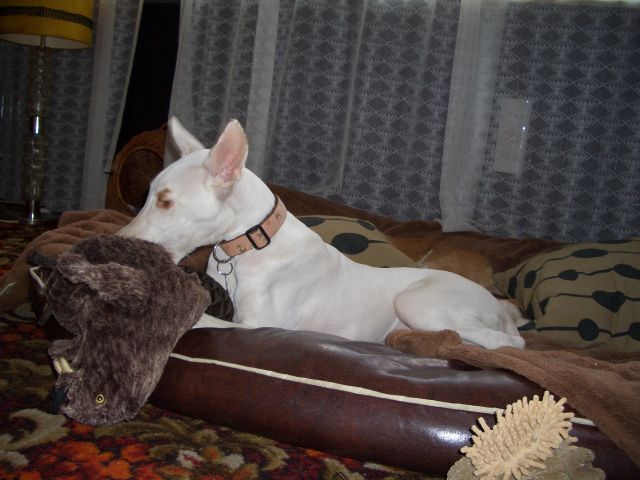 CIMG7001.jpg