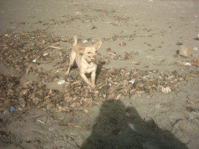 img_0012_2.jpg
