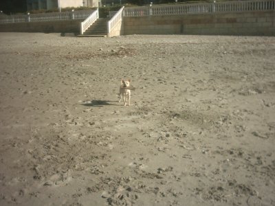img_0020_4.jpg