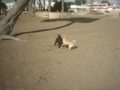 img_0022_2.jpg