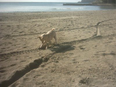 img_0028_3.jpg