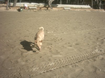 img_0031_4.jpg