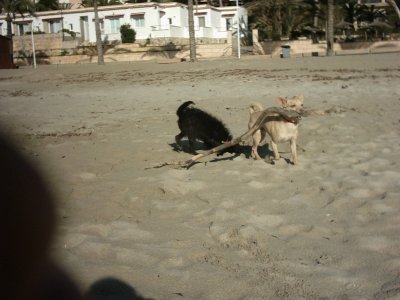 img_0044.jpg