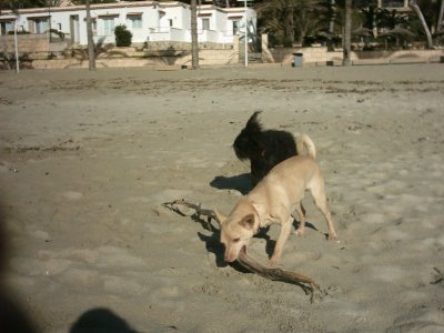 img_0045.jpg