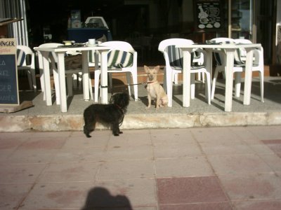 img_0052.jpg