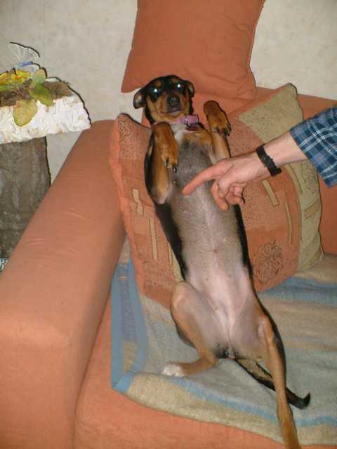 K640_Lillys Bauch.JPG