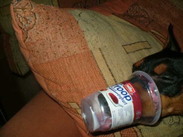 K640_Lilly- Becher.JPG