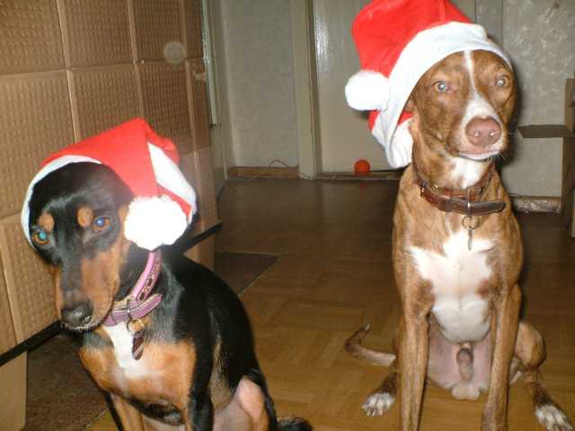 K640_Frohe Weihnachten.JPG