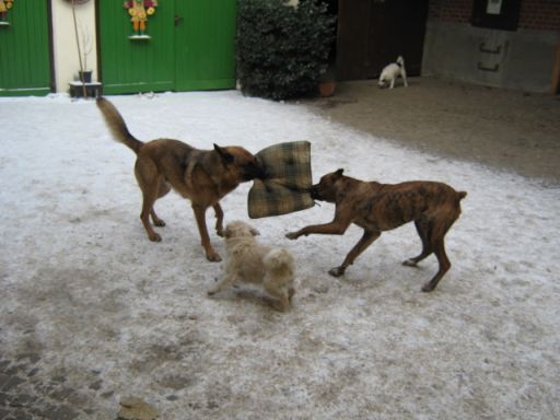 Zerren im Hof mit Familie.jpg