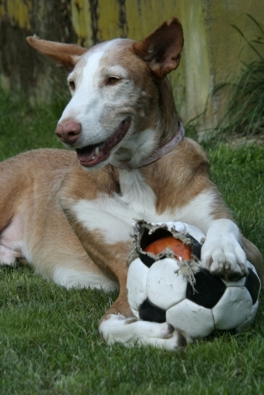 _MG_0015.JPG