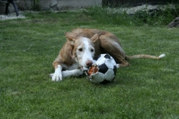 _MG_9945.JPG