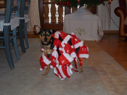 Chico Weihnachtsmann kl.JPG
