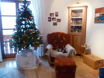 Chico Sessel Weihnachtsbaum.JPG