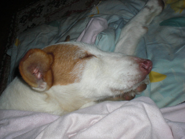 CIMG0651.JPG