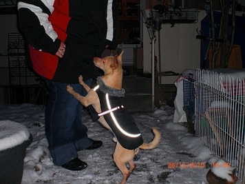 rufo neu.jpg