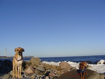 DSC03695.JPG