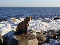 DSC03702.JPG