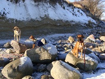 DSC03707.JPG