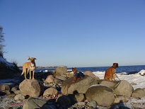 DSC03709.JPG