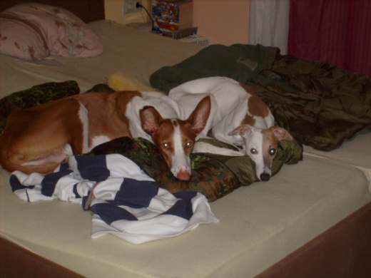 Ramses und Amun.jpg